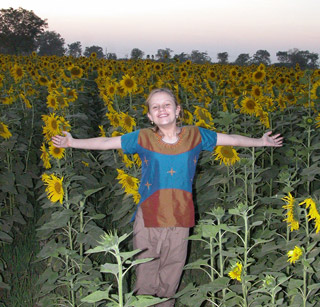 Sunflower Fields